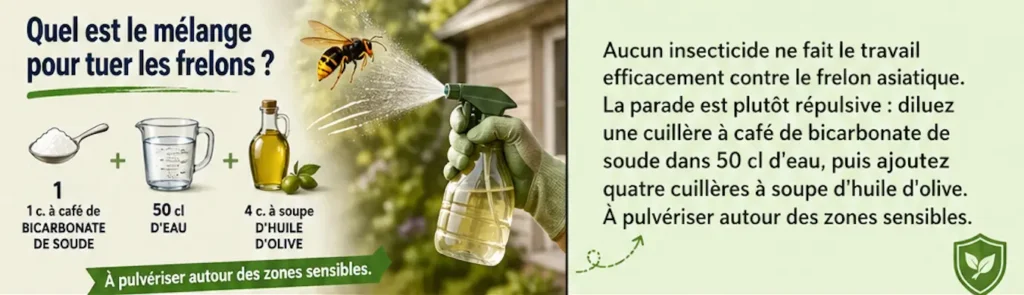 mélange pour tuer les frelons