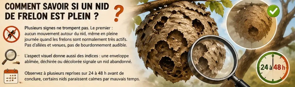savoir si un nid de frelon est plein
